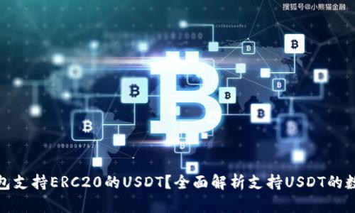 哪些钱包支持ERC20的USDT？全面解析支持USDT的数字钱包