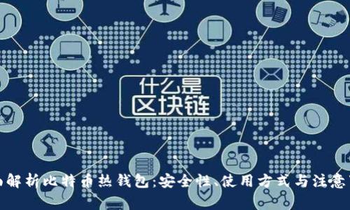 全面解析比特币热钱包：安全性、使用方式与注意事项
