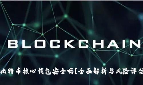 比特币核心钱包安全吗？全面解析与风险评估