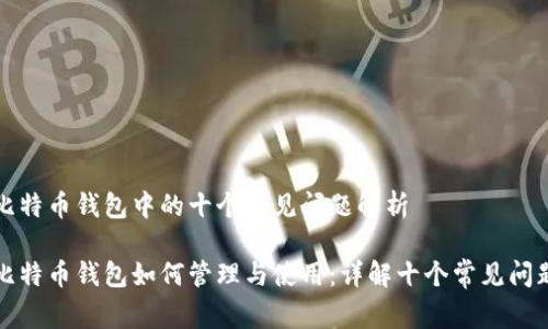 比特币钱包中的十个常见问题解析

比特币钱包如何管理与使用：详解十个常见问题