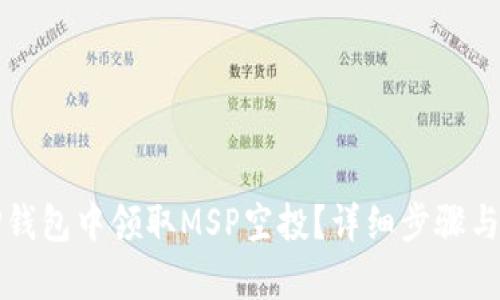 如何在TP钱包中领取MSP空投？详细步骤与技巧解析