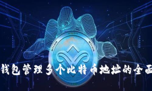 一个钱包管理多个比特币地址的全面指南