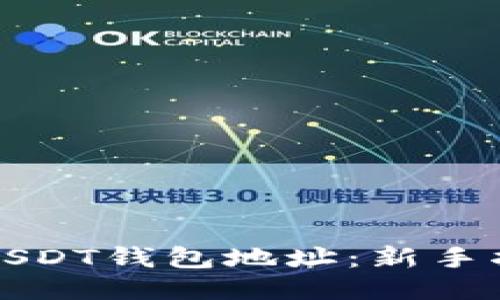 如何查询USDT钱包地址：新手指南及技巧